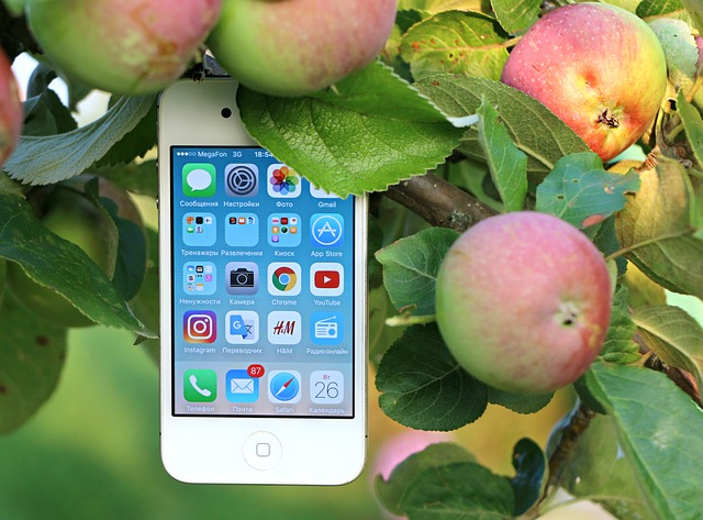 Apple na stromě